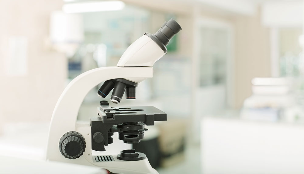 We looked at the cellsunder a microscope and could see each individual